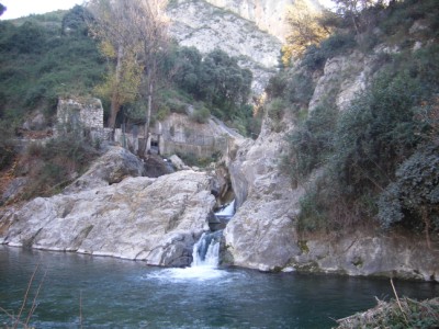 Pouclar-pou dels cavalls